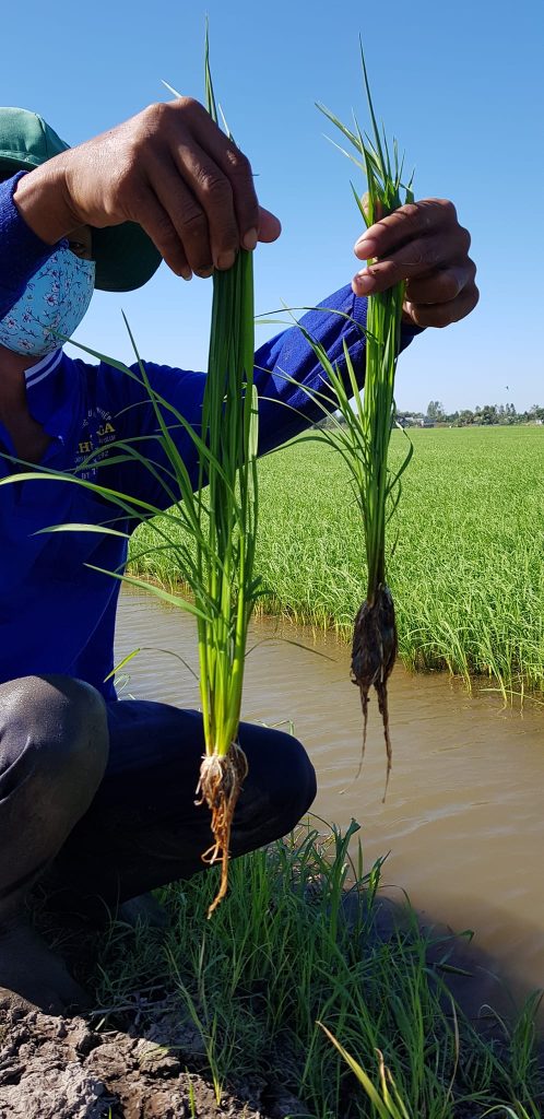 Bài viết demo số 2